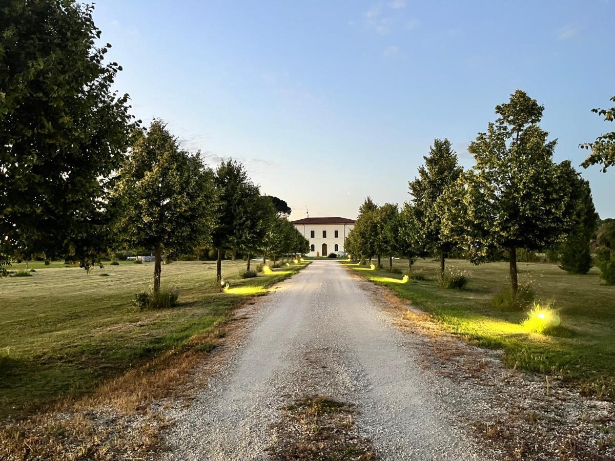 Villa Archi Фаенца Екстериор снимка